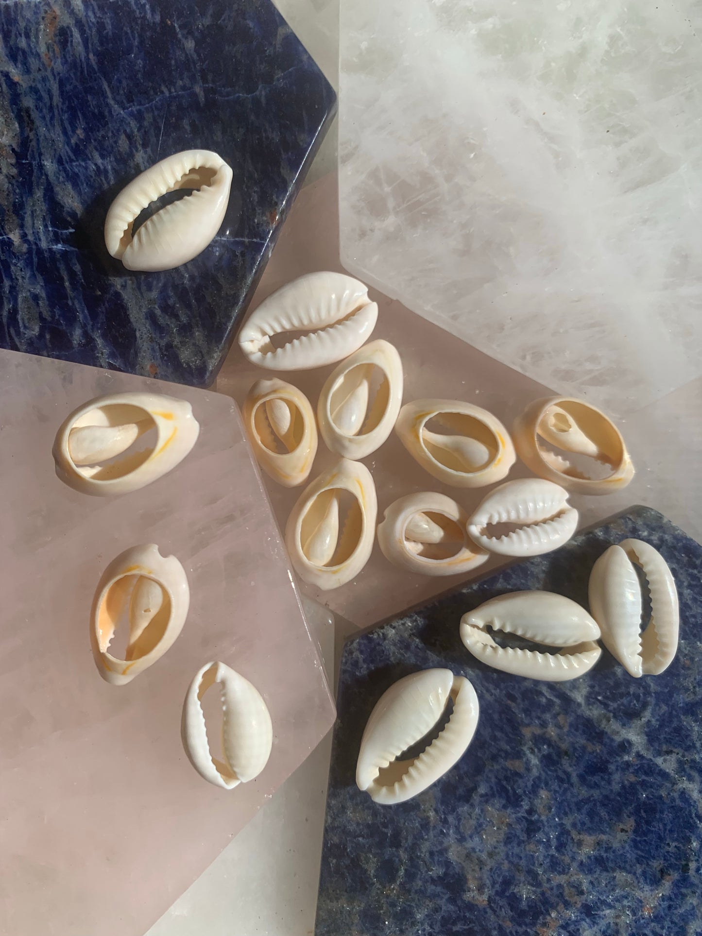 White Cowrie Shell Loc Jewels