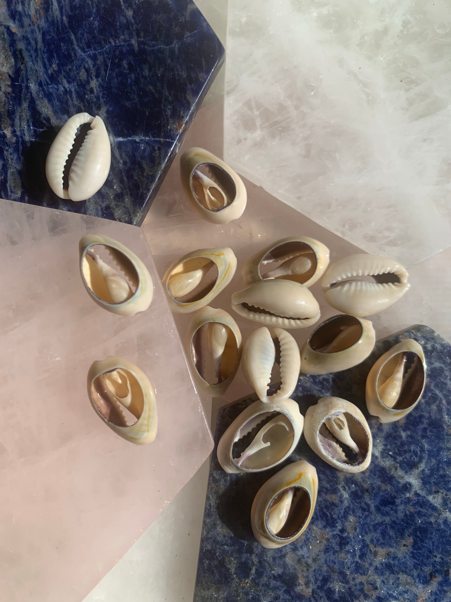 Grey Cowrie Shell Loc Jewels