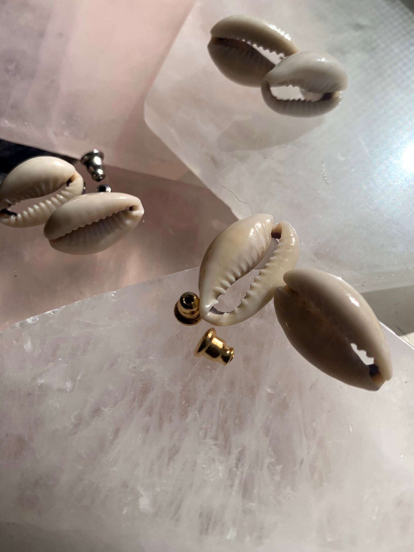 Cowrie Shell Earrings
