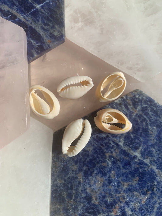 White Cowrie Shell Loc Jewels
