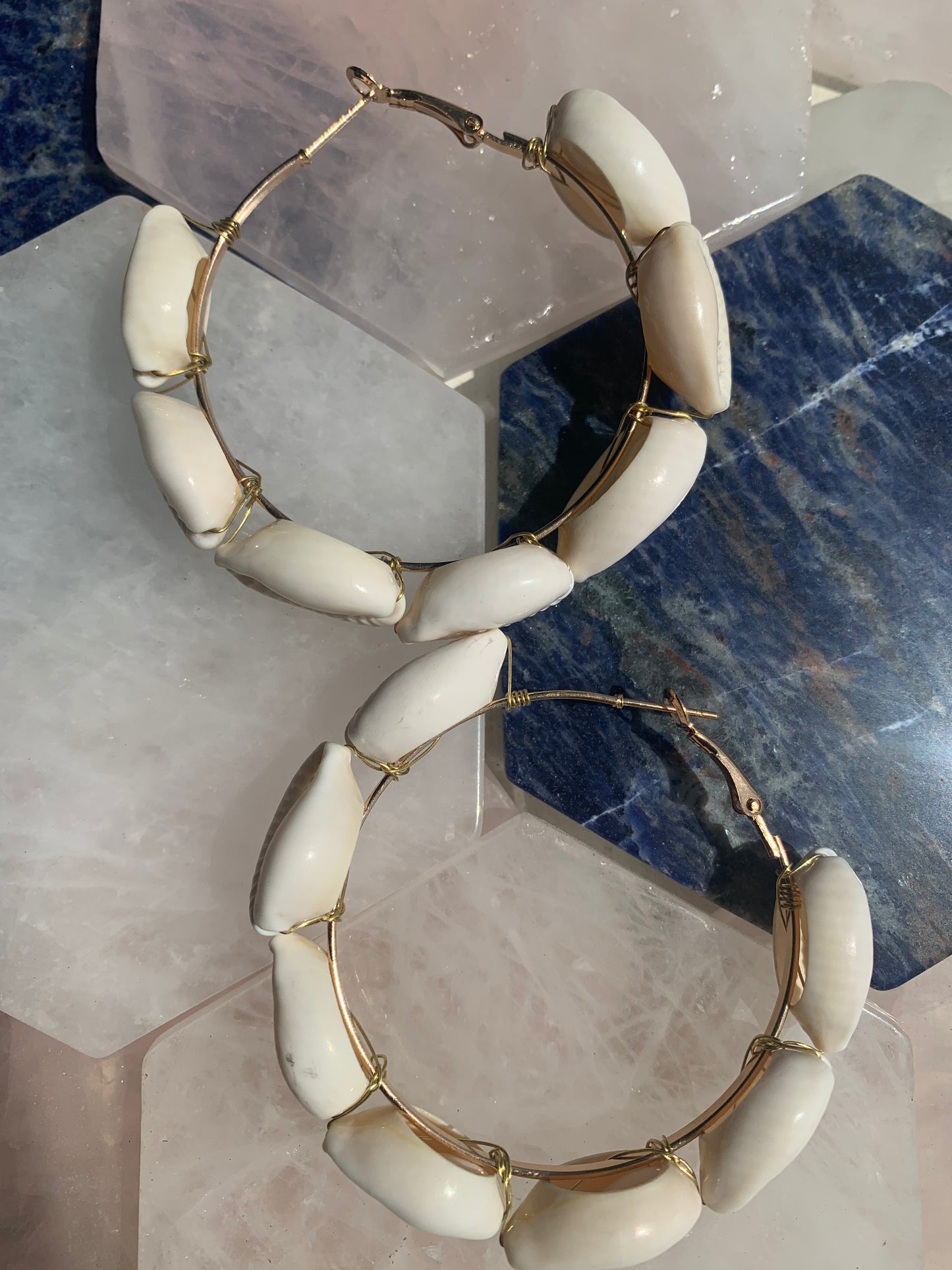 Cowrie Shell Hoop Earrings