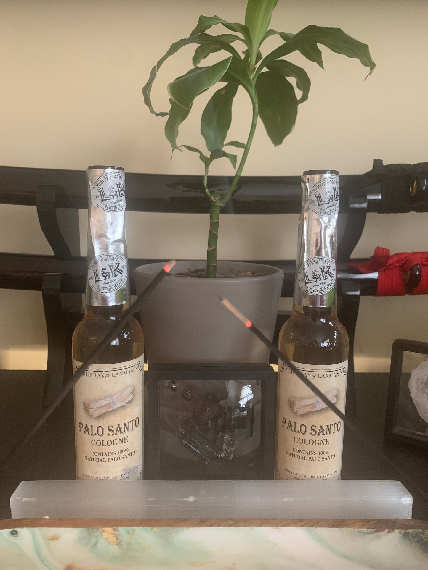 Palo Santo Cologne