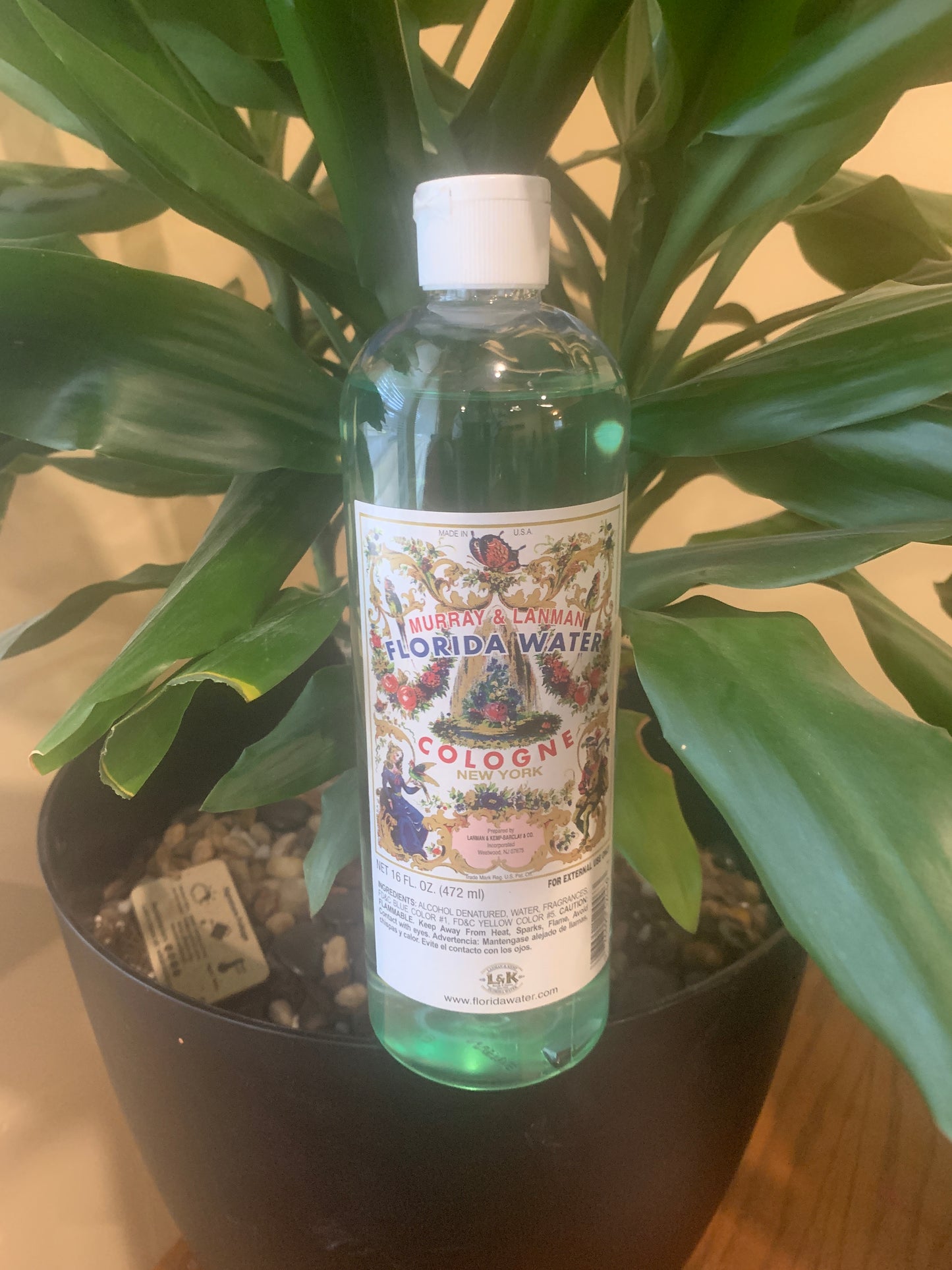 Florida Water