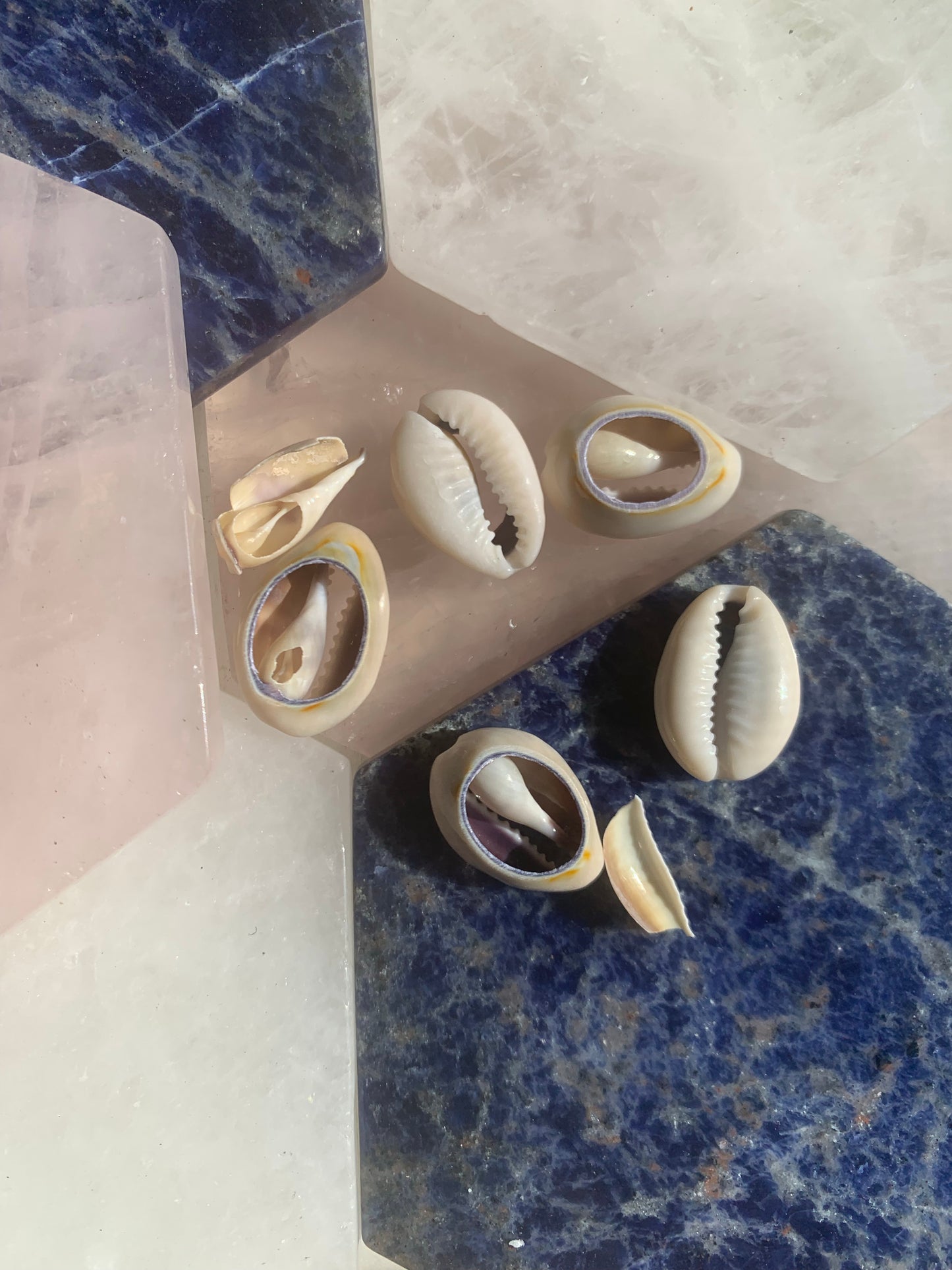 Grey Cowrie Shell Loc Jewels