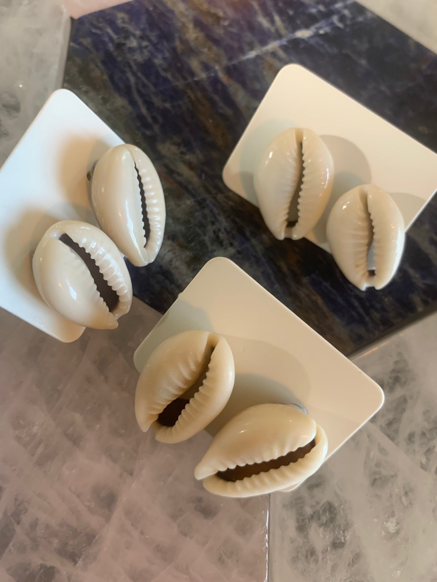 Cowrie Shell Earrings