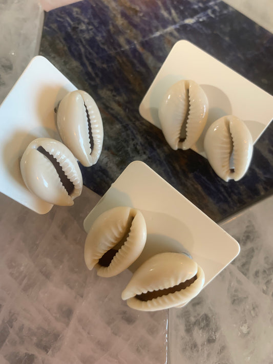 Cowrie Shell Earrings
