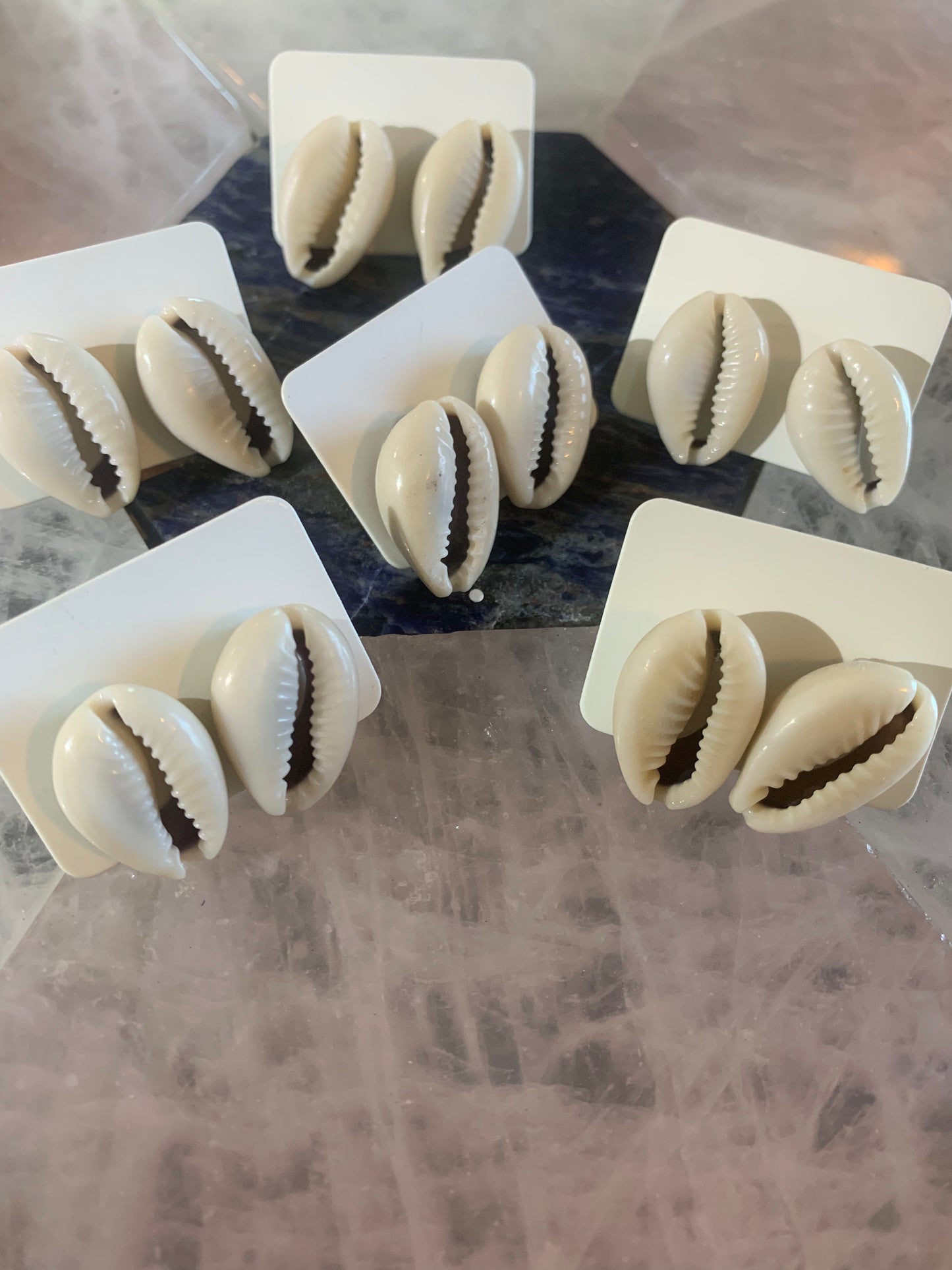 Cowrie Shell Earrings