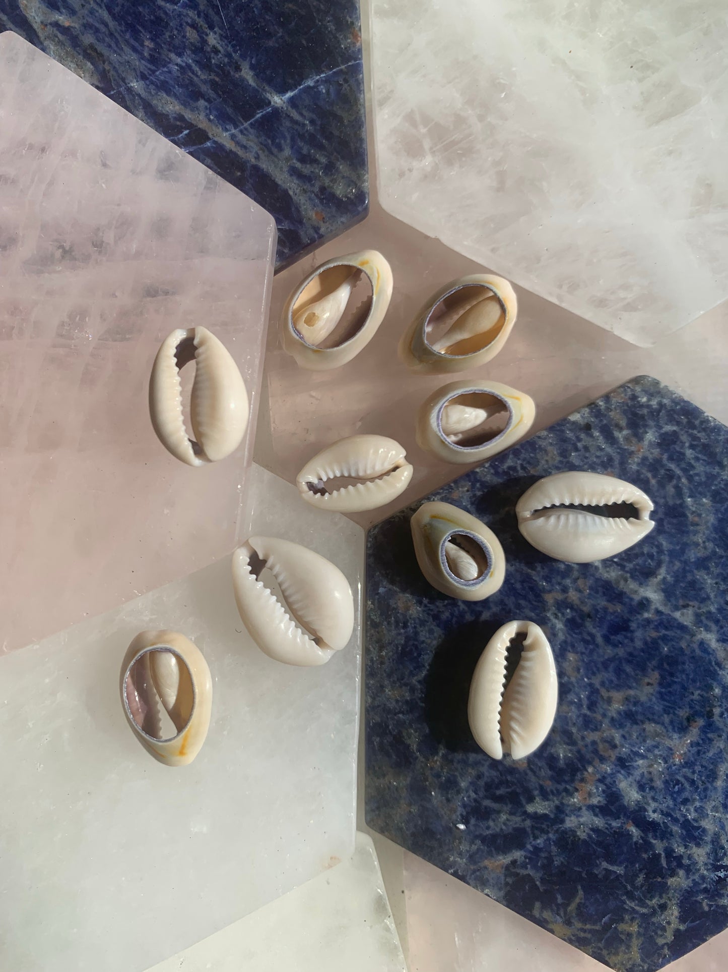 Grey Cowrie Shell Loc Jewels